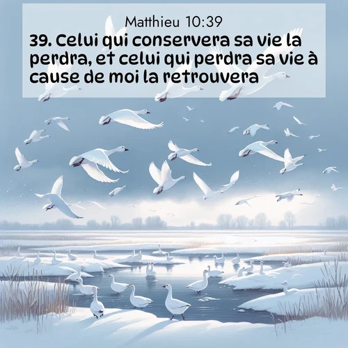 Segond21 Évangile selon Matthieu  ; image nature: image avec le verset biblique :Celui qui conservera sa vie la perdra, et celui qui perdra sa vie à cause de moi la retrouvera. ;  ; 10:39