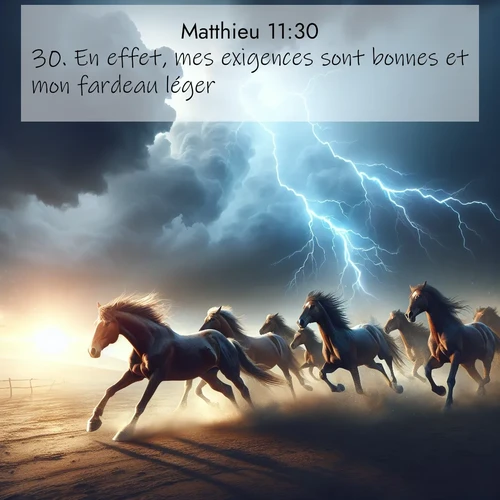 Segond21 Évangile selon Matthieu  ; image nature: image avec le verset biblique :En effet, mes exigences sont bonnes et mon fardeau léger.» ;  ; 11:30