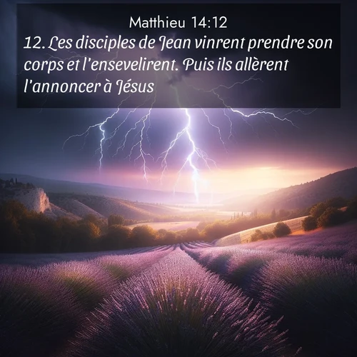 Segond21 Évangile selon Matthieu  ; image nature: image avec le verset biblique :Les disciples de Jean vinrent prendre son corps et l&#039;ensevelirent. Puis ils allèrent l&#039;annoncer à Jésus. ;  ; 14:12