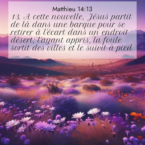 Segond21 Évangile selon Matthieu  ; image nature: image avec le verset biblique :A cette nouvelle, Jésus partit de là dans une barque pour se retirer à l&#039;écart dans un endroit désert; l&#039;ayant appris, la foule sortit des villes et le suivit à pied. ;  ; 14:13