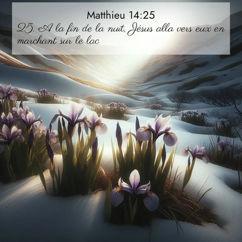Segond21 Évangile selon Matthieu  ; image nature: image avec le verset biblique :A la fin de la nuit, Jésus alla vers eux en marchant sur le lac. ;  ; 14:25