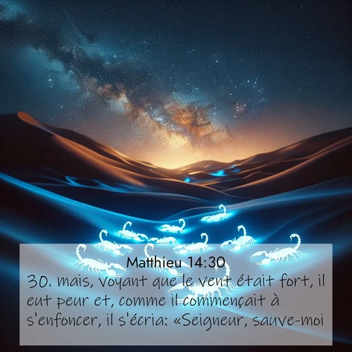 Segond21 Évangile selon Matthieu  ; image nature: image avec le verset biblique :mais, voyant que le vent était fort, il eut peur et, comme il commençait à s&#039;enfoncer, il s&#039;écria: «Seigneur, sauve-moi!» ;  ; 14:30