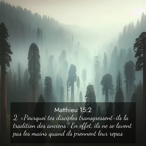 Segond21 Évangile selon Matthieu  ; image nature: image avec le verset biblique :«Pourquoi tes disciples transgressent-ils la tradition des anciens? En effet, ils ne se lavent pas les mains quand ils prennent leur repas.» ;  ; 15:2