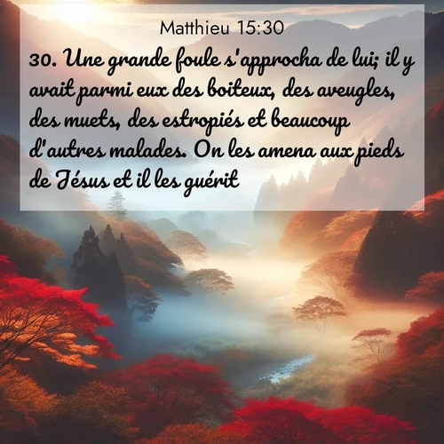 Segond21 Évangile selon Matthieu  ; image nature: image avec le verset biblique :Une grande foule s&#039;approcha de lui; il y avait parmi eux des boiteux, des aveugles, des muets, des estropiés et beaucoup d&#039;autres malades. On les amena aux pieds de Jésus et il les guérit, ;  ; 15:30