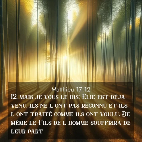Segond21 Évangile selon Matthieu  ; image nature: image avec le verset biblique :mais je vous le dis: Elie est déjà venu, ils ne l&#039;ont pas reconnu et ils l&#039;ont traité comme ils ont voulu. De même le Fils de l&#039;homme souffrira de leur part.» ;  ; 17:12