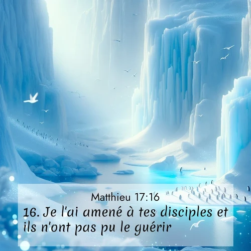 Segond21 Évangile selon Matthieu  ; image nature: image avec le verset biblique :Je l&#039;ai amené à tes disciples et ils n&#039;ont pas pu le guérir.» ;  ; 17:16