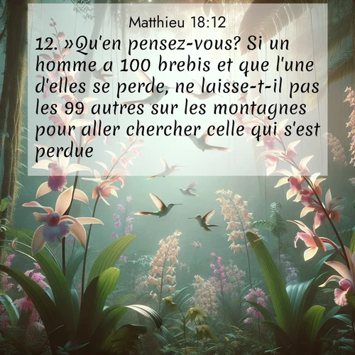 Images liées de la nature avec versets bibliques