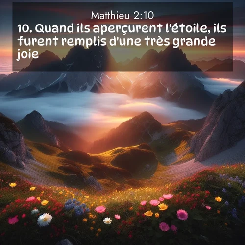 citation biblique : 10. Quand ils aperçurent l&#039;étoile, ils furent remplis d&#039;une très grande joie.
 sur fond image nature