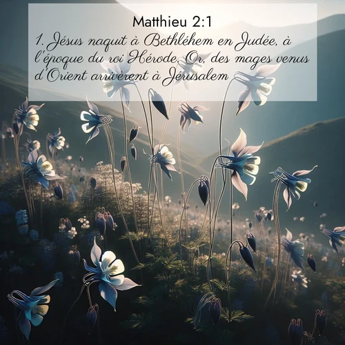 Segond21 Évangile selon Matthieu  ; image nature: image avec le verset biblique :Jésus naquit à Bethléhem en Judée, à l&#039;époque du roi Hérode. Or, des mages venus d&#039;Orient arrivèrent à Jérusalem ;  ; 2:1