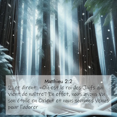 Segond21 Évangile selon Matthieu  ; image nature: image avec le verset biblique :et dirent: «Où est le roi des Juifs qui vient de naître? En effet, nous avons vu son étoile en Orient et nous sommes venus pour l&#039;adorer.» ;  ; 2:2