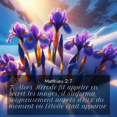 Segond21 Évangile selon Matthieu  ; image nature: image avec le verset biblique :Alors Hérode fit appeler en secret les mages; il s&#039;informa soigneusement auprès d&#039;eux du moment où l&#039;étoile était apparue, ;  ; 2:7