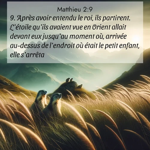 Segond21 Évangile selon Matthieu  ; image nature: image avec le verset biblique :Après avoir entendu le roi, ils partirent. L&#039;étoile qu&#039;ils avaient vue en Orient allait devant eux jusqu&#039;au moment où, arrivée au-dessus de l&#039;endroit où était le petit enfant, elle s&#039;arrêta. ;  ; 2:9