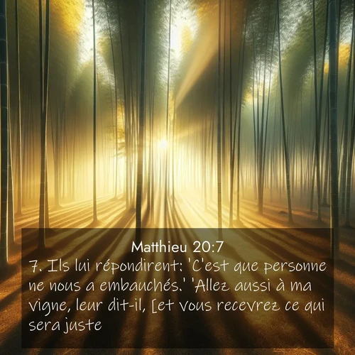 Segond21 Évangile selon Matthieu  ; image nature: image avec le verset biblique :Ils lui répondirent: &#039;C&#039;est que personne ne nous a embauchés.&#039; &#039;Allez aussi à ma vigne, leur dit-il, [et vous recevrez ce qui sera juste].&#039; ;  ; 20:7