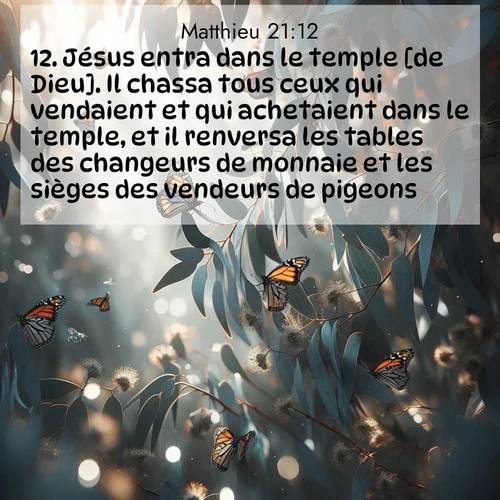 Segond21 Évangile selon Matthieu  ; image nature: image avec le verset biblique :Jésus entra dans le temple [de Dieu]. Il chassa tous ceux qui vendaient et qui achetaient dans le temple, et il renversa les tables des changeurs de monnaie et les sièges des vendeurs de pigeons. ;  ; 21:12