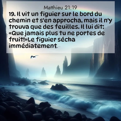 Segond21 Évangile selon Matthieu  ; image nature: image avec le verset biblique :Il vit un figuier sur le bord du chemin et s&#039;en approcha, mais il n&#039;y trouva que des feuilles. Il lui dit: «Que jamais plus tu ne portes de fruit!»Le figuier sécha immédiatement. ;  ; 21:19
