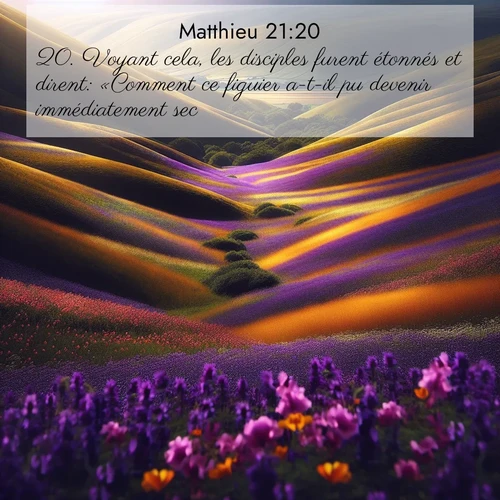 Segond21 Évangile selon Matthieu  ; image nature: image avec le verset biblique :Voyant cela, les disciples furent étonnés et dirent: «Comment ce figuier a-t-il pu devenir immédiatement sec?» ;  ; 21:20