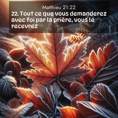 Segond21 Évangile selon Matthieu  ; image nature: image avec le verset biblique :Tout ce que vous demanderez avec foi par la prière, vous le recevrez.» ;  ; 21:22