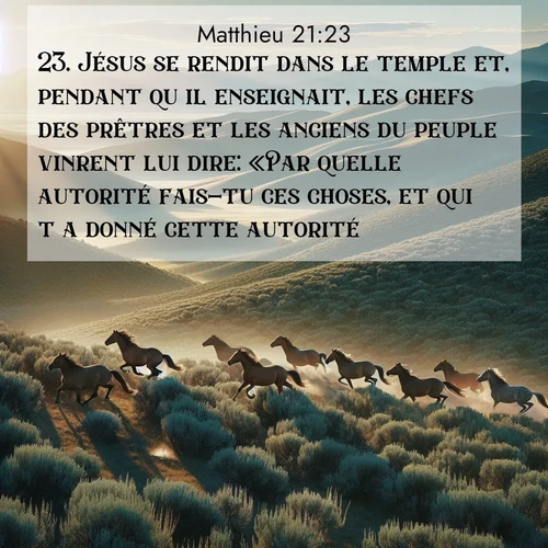Segond21 Évangile selon Matthieu  ; image nature: image avec le verset biblique :Jésus se rendit dans le temple et, pendant qu&#039;il enseignait, les chefs des prêtres et les anciens du peuple vinrent lui dire: «Par quelle autorité fais-tu ces choses, et qui t&#039;a donné cette autorité?» ;  ; 21:23