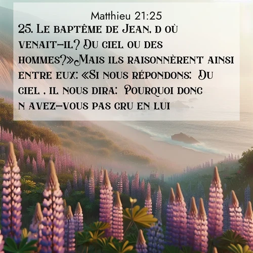 Segond21 Évangile selon Matthieu  ; image nature: image avec le verset biblique :Le baptême de Jean, d&#039;où venait-il? Du ciel ou des hommes?»Mais ils raisonnèrent ainsi entre eux: «Si nous répondons: &#039;Du ciel&#039;, il nous dira: &#039;Pourquoi donc n&#039;avez-vous pas cru en lui?&#039; ;  ; 21:25