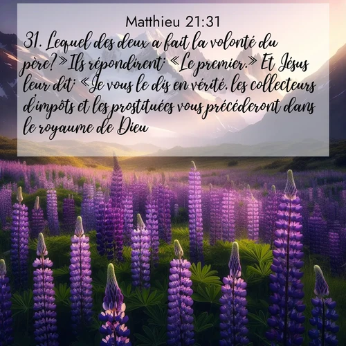 Segond21 Évangile selon Matthieu  ; image nature: image avec le verset biblique :Lequel des deux a fait la volonté du père?»Ils répondirent: «Le premier.» Et Jésus leur dit: «Je vous le dis en vérité, les collecteurs d&#039;impôts et les prostituées vous précéderont dans le royaume de Dieu, ;  ; 21:31