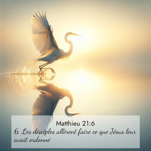 Segond21 Évangile selon Matthieu  ; image nature: image avec le verset biblique :Les disciples allèrent faire ce que Jésus leur avait ordonné. ;  ; 21:6