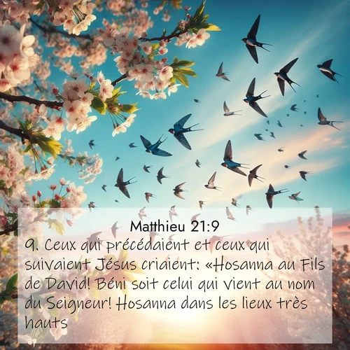 Images liées de la nature avec versets bibliques