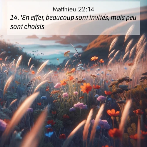 Images liées de la nature avec versets bibliques