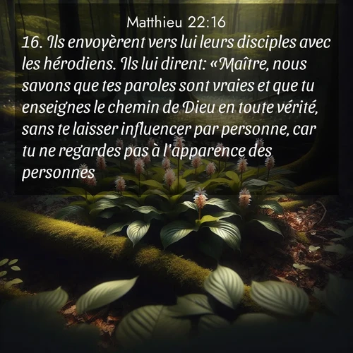 Segond21 Évangile selon Matthieu  ; image nature: image avec le verset biblique :Ils envoyèrent vers lui leurs disciples avec les hérodiens. Ils lui dirent: «Maître, nous savons que tes paroles sont vraies et que tu enseignes le chemin de Dieu en toute vérité, sans te laisser influencer par personne, car tu ne regardes pas à l&#039;apparence des personnes. ;  ; 22:16