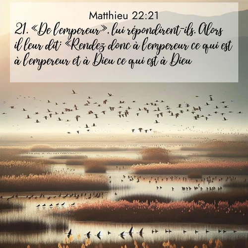 Segond21 Évangile selon Matthieu  ; image nature: image avec le verset biblique :«De l&#039;empereur», lui répondirent-ils. Alors il leur dit: «Rendez donc à l&#039;empereur ce qui est à l&#039;empereur et à Dieu ce qui est à Dieu.» ;  ; 22:21
