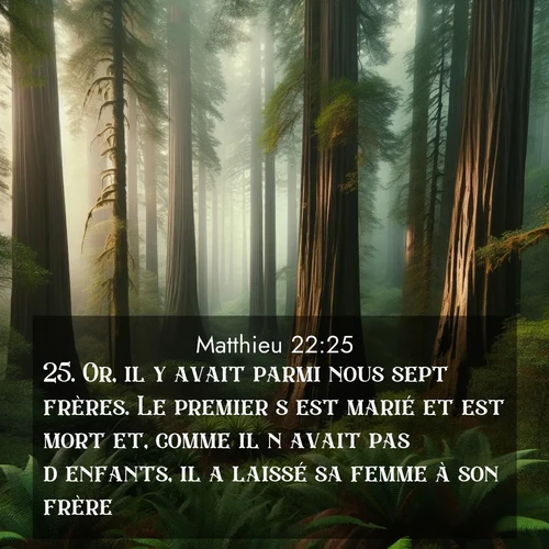 Segond21 Évangile selon Matthieu  ; image nature: image avec le verset biblique :Or, il y avait parmi nous sept frères. Le premier s&#039;est marié et est mort et, comme il n&#039;avait pas d&#039;enfants, il a laissé sa femme à son frère. ;  ; 22:25