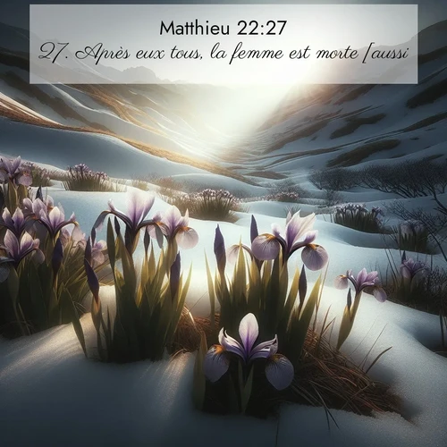 Segond21 Évangile selon Matthieu  ; image nature: image avec le verset biblique :Après eux tous, la femme est morte [aussi]. ;  ; 22:27