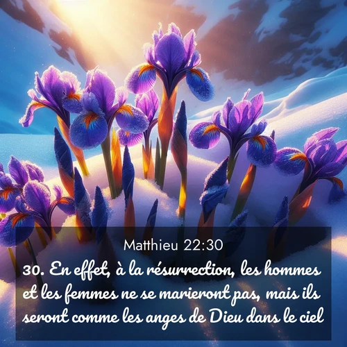 Segond21 Évangile selon Matthieu  ; image nature: image avec le verset biblique :En effet, à la résurrection, les hommes et les femmes ne se marieront pas, mais ils seront comme les anges de Dieu dans le ciel. ;  ; 22:30