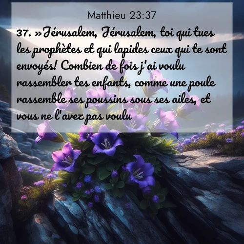 Segond21 Évangile selon Matthieu  ; image nature: image avec le verset biblique :»Jérusalem, Jérusalem, toi qui tues les prophètes et qui lapides ceux qui te sont envoyés! Combien de fois j&#039;ai voulu rassembler tes enfants, comme une poule rassemble ses poussins sous ses ailes, et vous ne l&#039;avez pas voulu! ;  ; 23:37