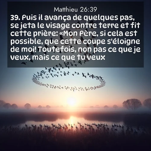 Segond21 Évangile selon Matthieu  ; image nature: image avec le verset biblique :Puis il avança de quelques pas, se jeta le visage contre terre et fit cette prière: «Mon Père, si cela est possible, que cette coupe s&#039;éloigne de moi! Toutefois, non pas ce que je veux, mais ce que tu veux.» ;  ; 26:39