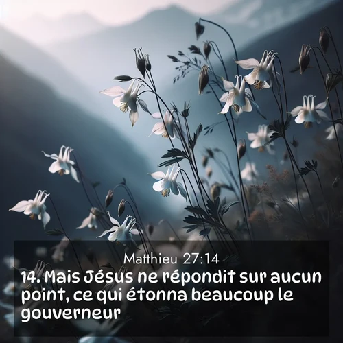 Segond21 Évangile selon Matthieu  ; image nature: image avec le verset biblique :Mais Jésus ne répondit sur aucun point, ce qui étonna beaucoup le gouverneur. ;  ; 27:14