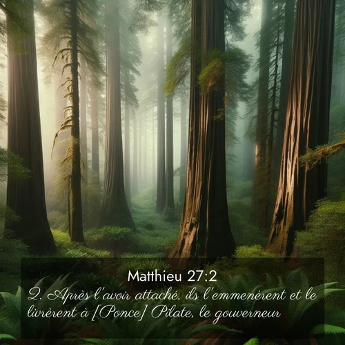 Segond21 Évangile selon Matthieu  ; image nature: image avec le verset biblique :Après l&#039;avoir attaché, ils l&#039;emmenèrent et le livrèrent à [Ponce] Pilate, le gouverneur. ;  ; 27:2