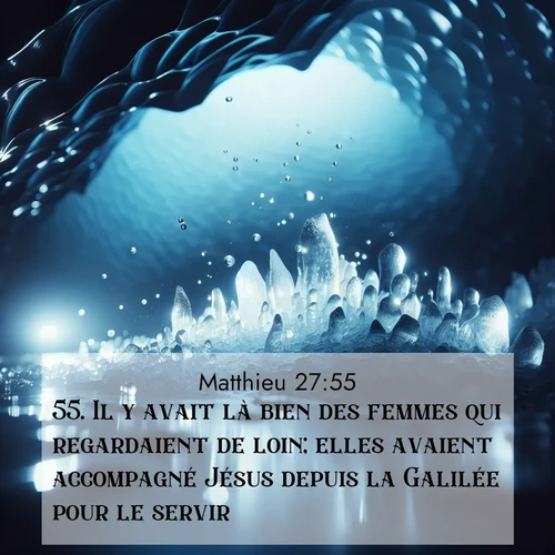 Segond21 Évangile selon Matthieu  ; image nature: image avec le verset biblique :Il y avait là bien des femmes qui regardaient de loin; elles avaient accompagné Jésus depuis la Galilée pour le servir. ;  ; 27:55