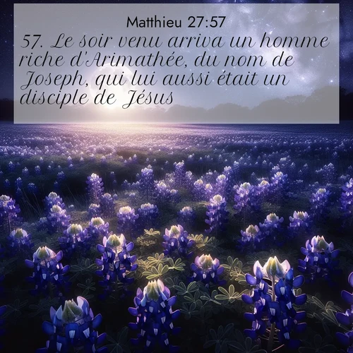 Segond21 Évangile selon Matthieu  ; image nature: image avec le verset biblique :Le soir venu arriva un homme riche d&#039;Arimathée, du nom de Joseph, qui lui aussi était un disciple de Jésus. ;  ; 27:57