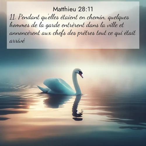 Segond21 Évangile selon Matthieu  ; image nature: image avec le verset biblique :Pendant qu&#039;elles étaient en chemin, quelques hommes de la garde entrèrent dans la ville et annoncèrent aux chefs des prêtres tout ce qui était arrivé. ;  ; 28:11