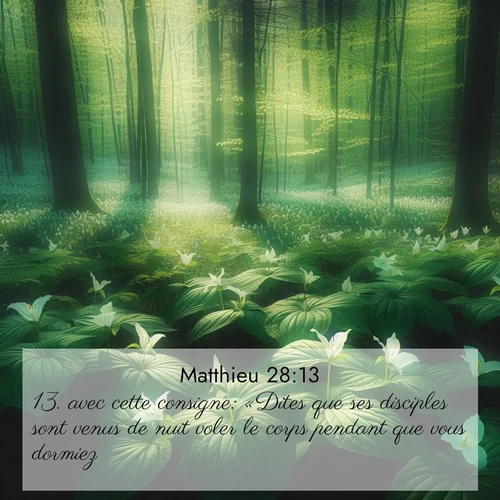 Segond21 Évangile selon Matthieu  ; image nature: image avec le verset biblique :avec cette consigne: «Dites que ses disciples sont venus de nuit voler le corps pendant que vous dormiez. ;  ; 28:13