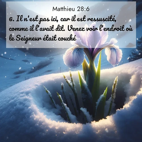 Segond21 Évangile selon Matthieu  ; image nature: image avec le verset biblique :Il n&#039;est pas ici, car il est ressuscité, comme il l&#039;avait dit. Venez voir l&#039;endroit où le Seigneur était couché ;  ; 28:6