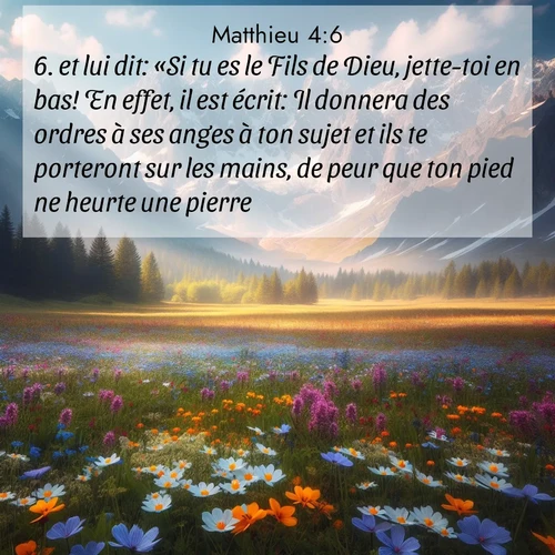 Segond21 Évangile selon Matthieu  ; image nature: image avec le verset biblique :et lui dit: «Si tu es le Fils de Dieu, jette-toi en bas! En effet, il est écrit: Il donnera des ordres à ses anges à ton sujet et ils te porteront sur les mains, de peur que ton pied ne heurte une pierre.» ;  ; 4:6