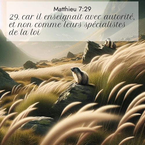 Segond21 Évangile selon Matthieu  ; image nature: image avec le verset biblique :car il enseignait avec autorité, et non comme leurs spécialistes de la loi. ;  ; 7:29