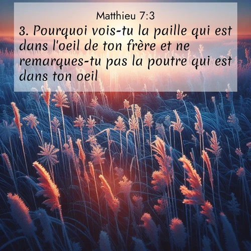 Segond21 Évangile selon Matthieu  ; image nature: image avec le verset biblique :Pourquoi vois-tu la paille qui est dans l&#039;oeil de ton frère et ne remarques-tu pas la poutre qui est dans ton oeil? ;  ; 7:3