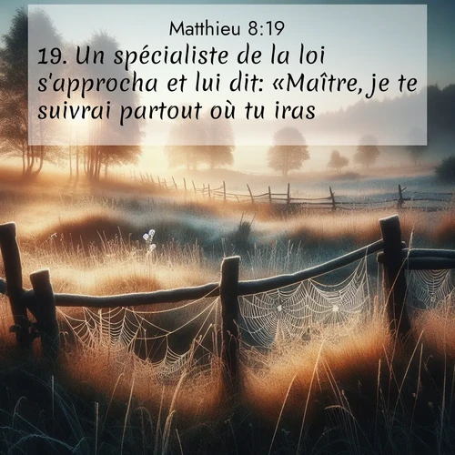 Segond21 Évangile selon Matthieu  ; image nature: image avec le verset biblique :Un spécialiste de la loi s&#039;approcha et lui dit: «Maître, je te suivrai partout où tu iras.» ;  ; 8:19
