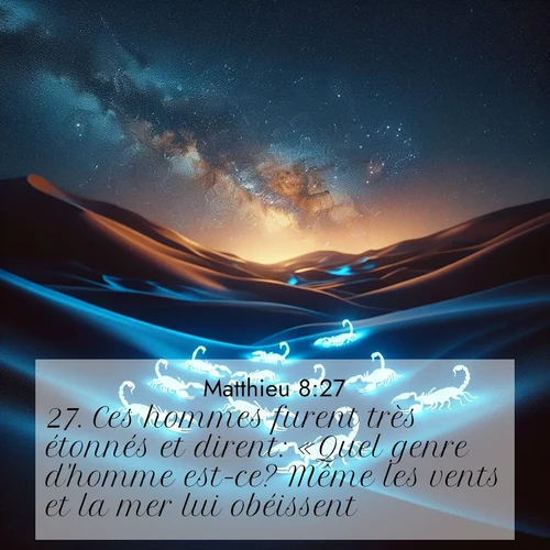 Segond21 Évangile selon Matthieu  ; image nature: image avec le verset biblique :Ces hommes furent très étonnés et dirent: «Quel genre d&#039;homme est-ce? Même les vents et la mer lui obéissent!» ;  ; 8:27