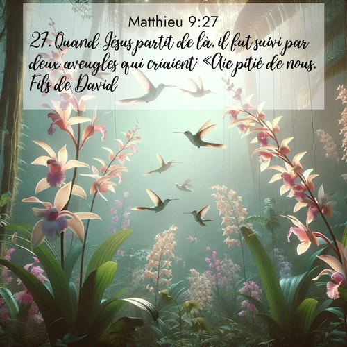 Segond21 Évangile selon Matthieu  ; image nature: image avec le verset biblique :Quand Jésus partit de là, il fut suivi par deux aveugles qui criaient: «Aie pitié de nous, Fils de David!» ;  ; 9:27