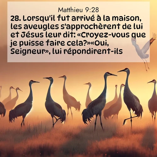 Segond21 Évangile selon Matthieu  ; image nature: image avec le verset biblique :Lorsqu&#039;il fut arrivé à la maison, les aveugles s&#039;approchèrent de lui et Jésus leur dit: «Croyez-vous que je puisse faire cela?»«Oui, Seigneur», lui répondirent-ils. ;  ; 9:28