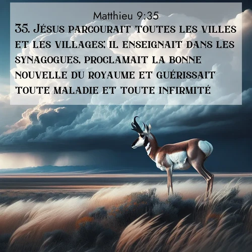 Segond21 Évangile selon Matthieu  ; image nature: image avec le verset biblique :Jésus parcourait toutes les villes et les villages; il enseignait dans les synagogues, proclamait la bonne nouvelle du royaume et guérissait toute maladie et toute infirmité. ;  ; 9:35