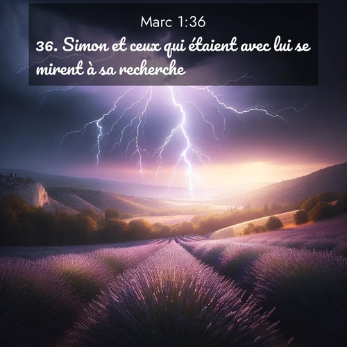 Segond21 Évangile selon Marc  ; image nature: image avec le verset biblique :Simon et ceux qui étaient avec lui se mirent à sa recherche; ;  ; 1:36